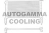 AUTOGAMMA 102964 Radiator, engine cooling
